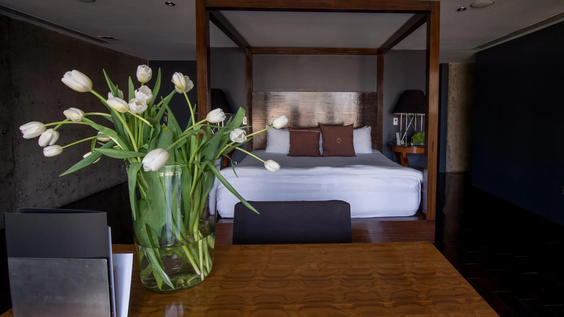 Demetria Hotel Guadalajara