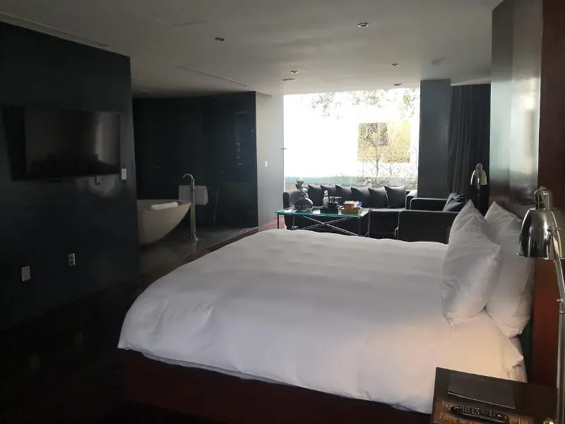 Demetria Hotel Guadalajara