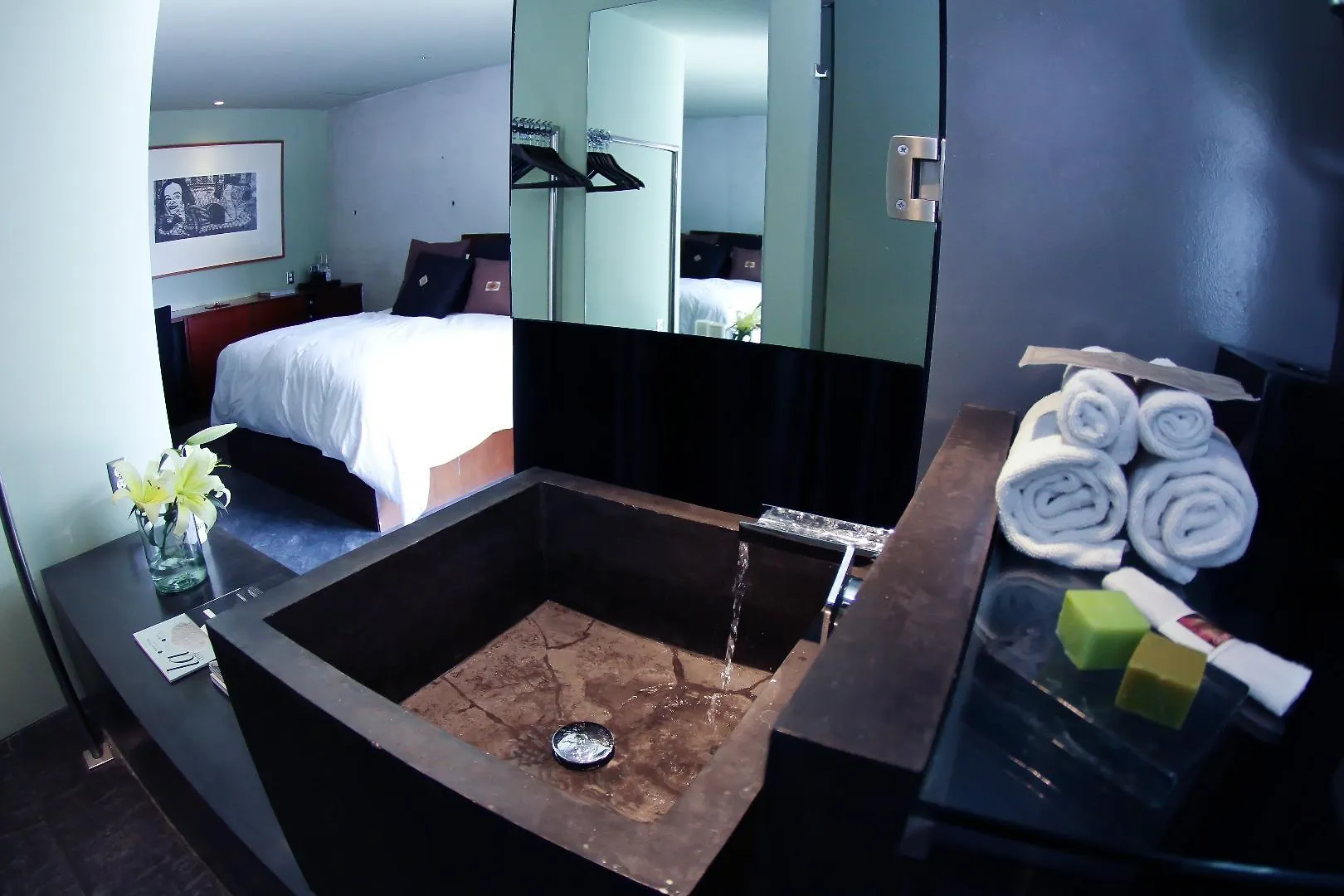 Demetria Hotel Guadalajara