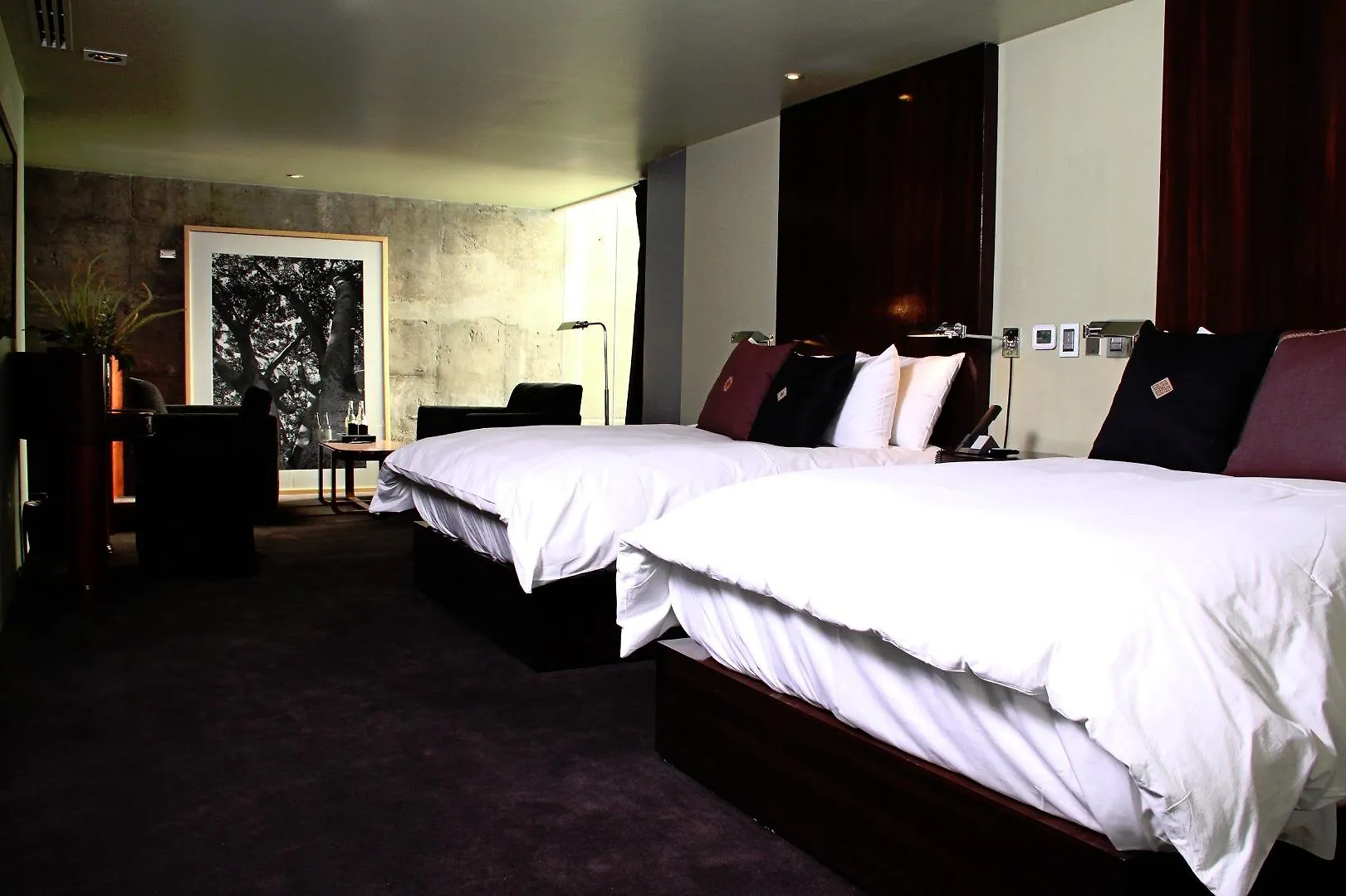 Demetria Hotel Guadalajara
